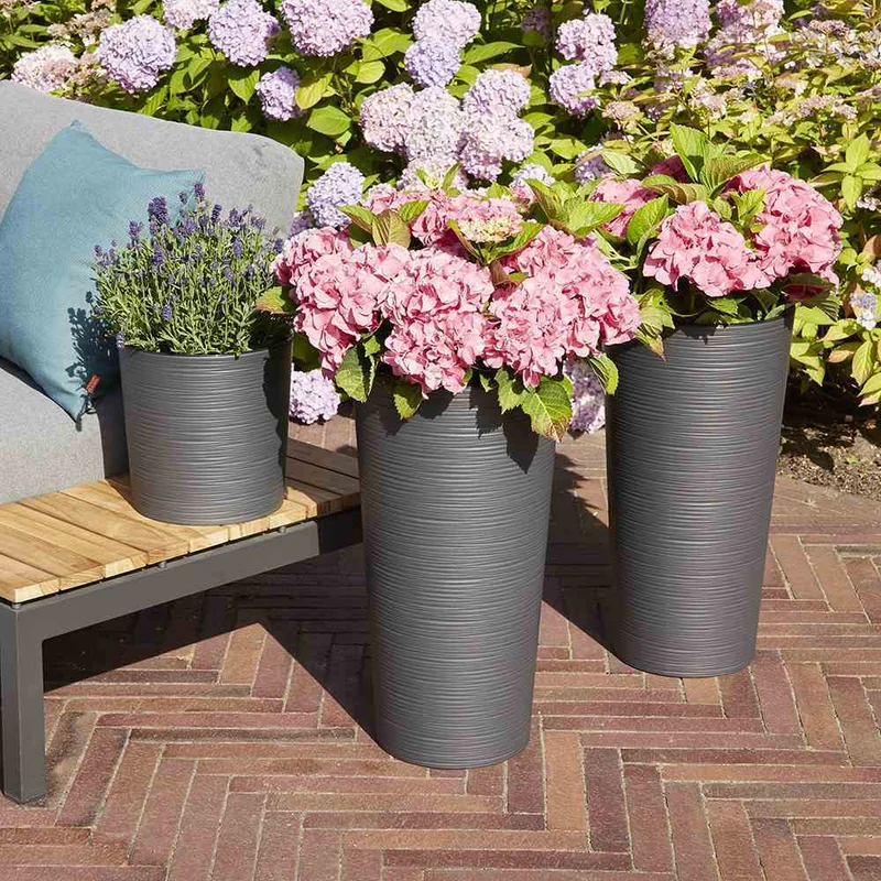 SIENA GARDEN Blumentopf 'Locon Groove'