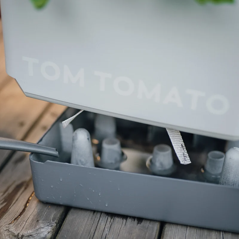 Gusta Garden TOM TOMATO