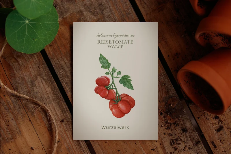 Reisetomate ‘Voyage’
