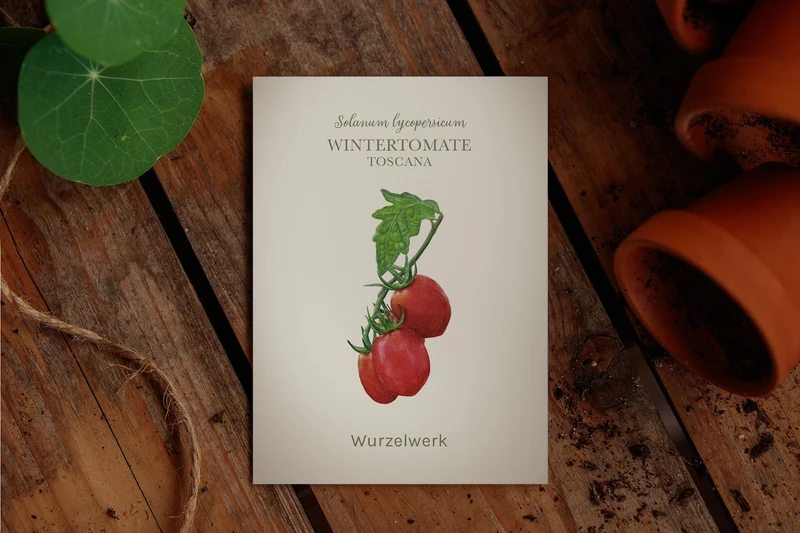 Wintertomate ‘Toscana’
