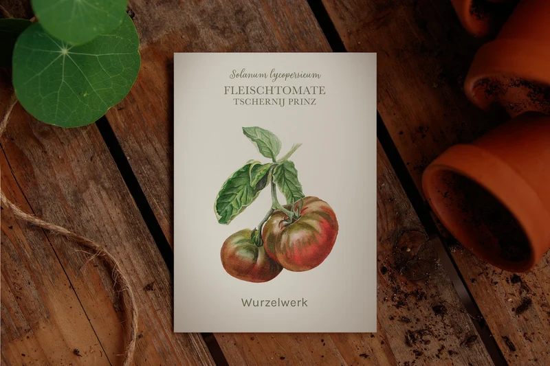 Fleischtomate ‘Tschernij Prinz‘