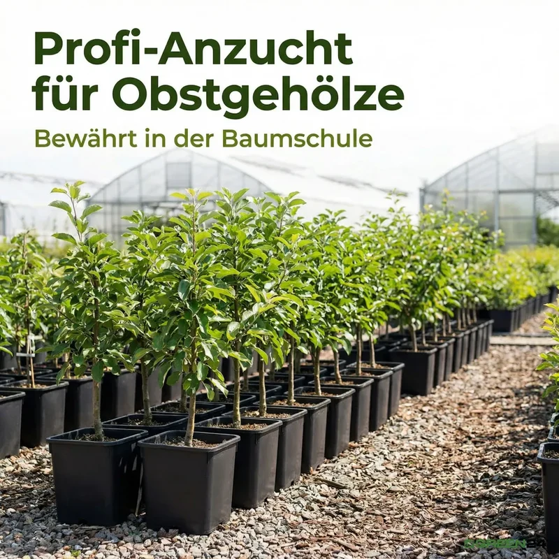 XXL-Pflanztopf 11 Liter – 25 × 25 × 26 cm