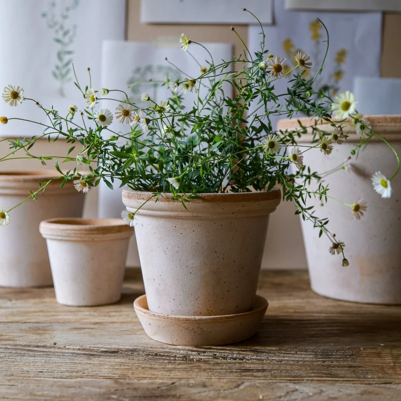 ÜBERTOPF BERGS FLORA