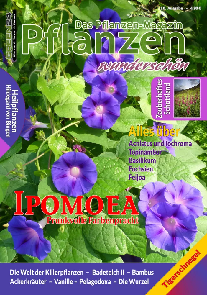 Pflanzen wunderschön – Ausgabe 10: Sommer