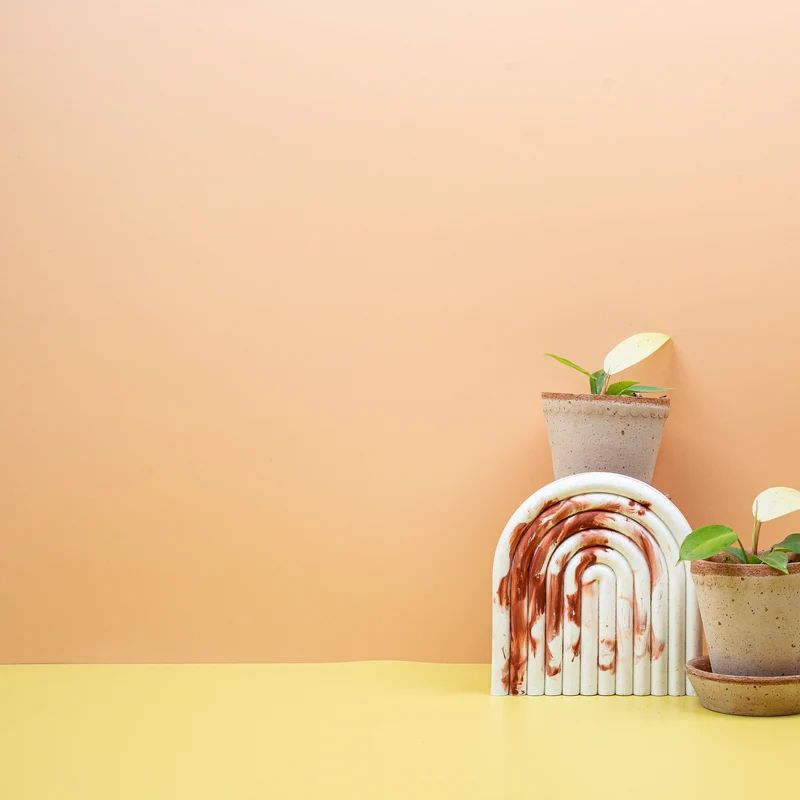 PHILODENDRON SNOWDRIFT