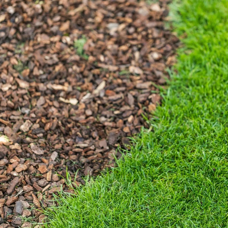 Floragard Rindenmulch Mittel