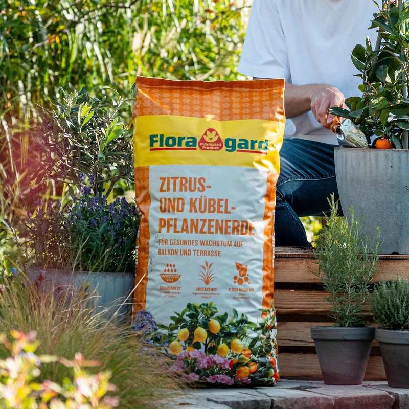Floragard Zitrus- und Kübelpflanzenerde