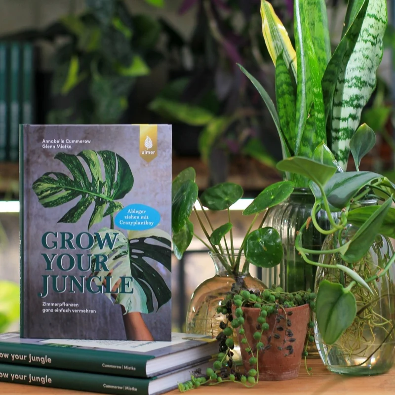 BUCH - GROW YOUR JUNGLE