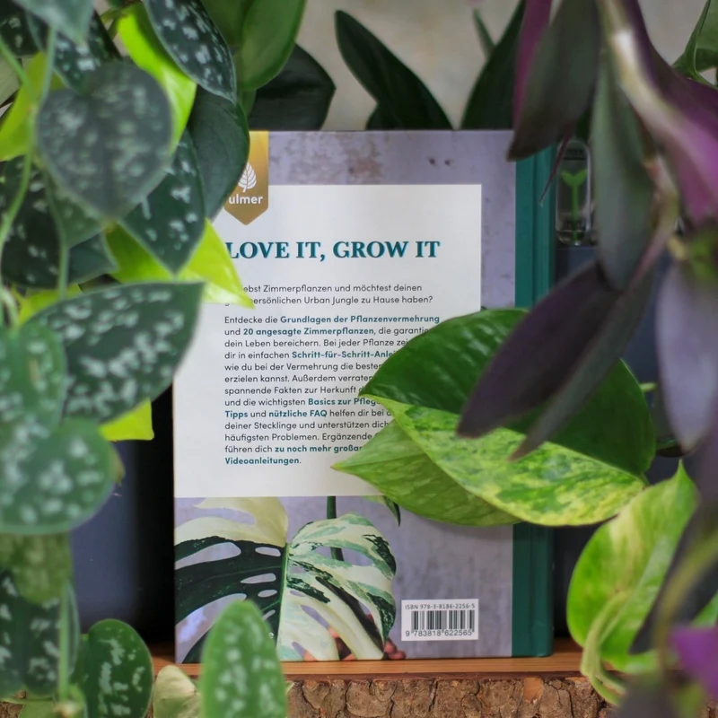 BUCH - GROW YOUR JUNGLE
