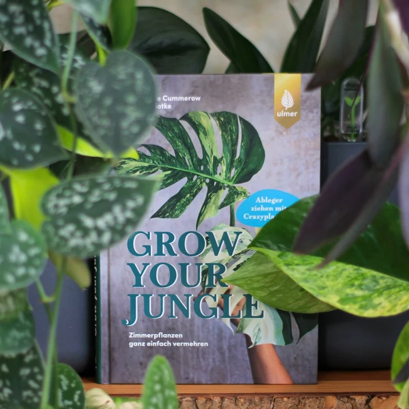 BUCH - GROW YOUR JUNGLE