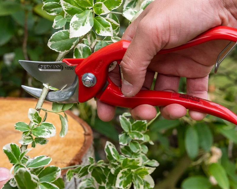BERGER 1050 Gartenschere mit Ringverschluss