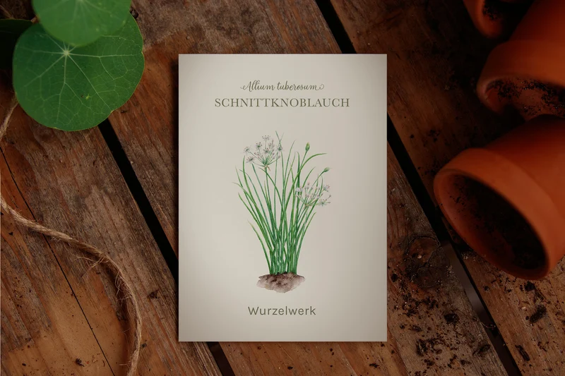 Schnittknoblauch