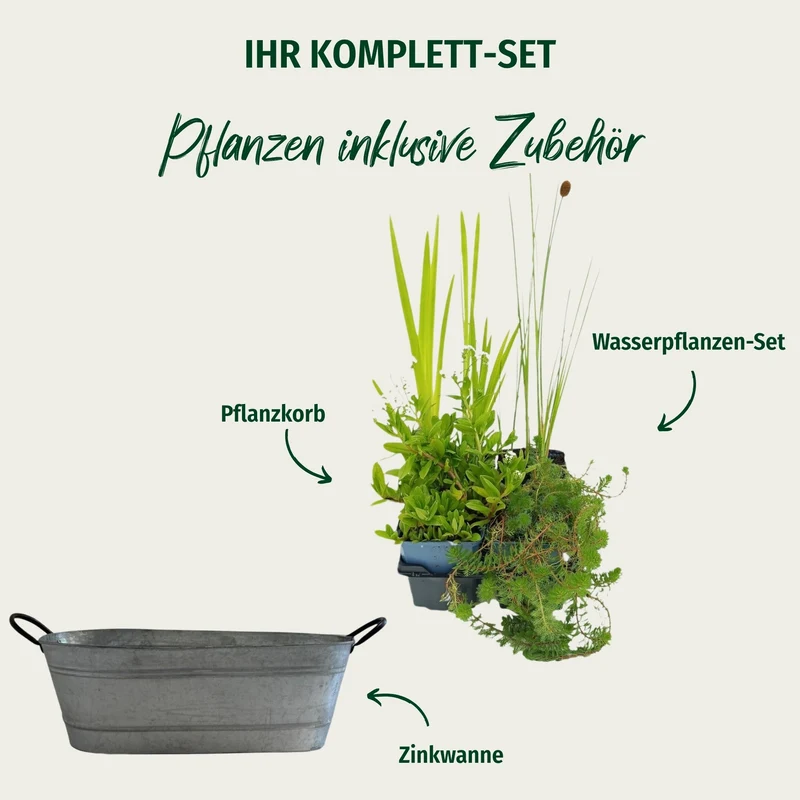 Miniteich in ovaler Zinkwanne