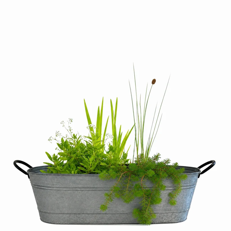 Miniteich in ovaler Zinkwanne