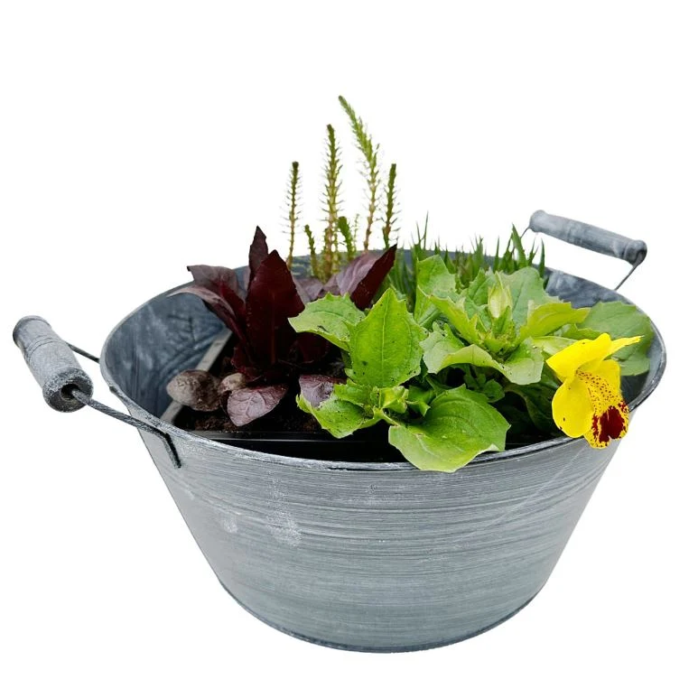 Miniteich mit Zinkwanne "Starter Set"