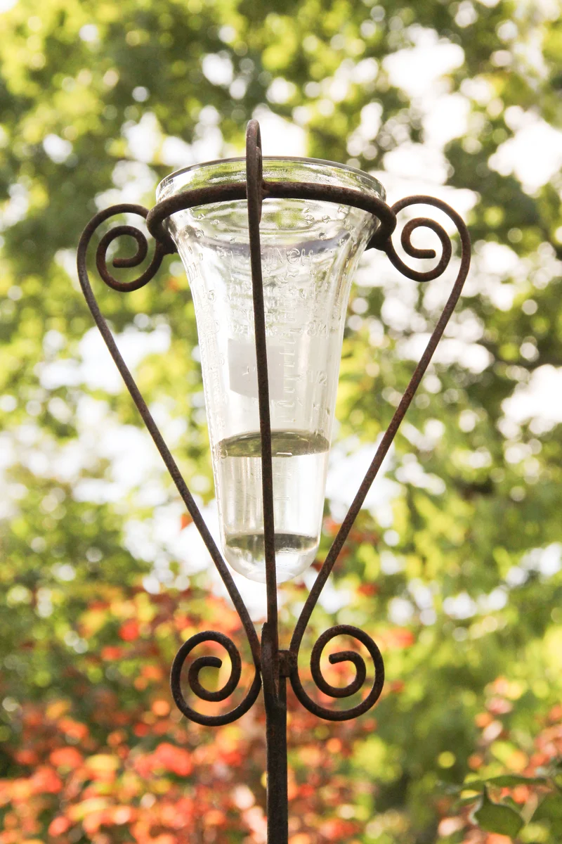 Regenmesser mit Glas | Für den Gartenliebhaber incl. Universalstab filigran H 125 cm