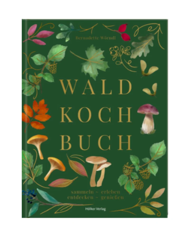 Wald Kochbuch | Sammeln, erleben, entdecken & genießen