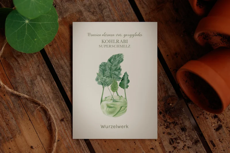 Kohlrabi ‘Superschmelz’