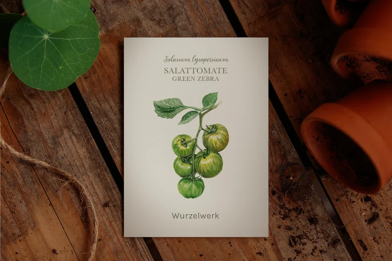 Salattomate ‘Green Zebra’