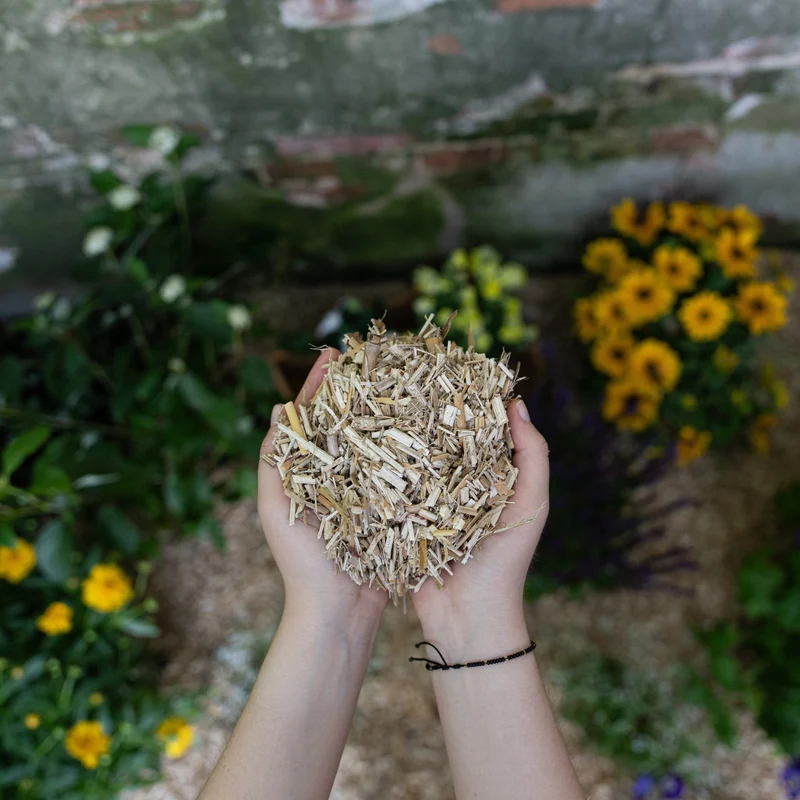 Floragard Miscanthus Mulchballen