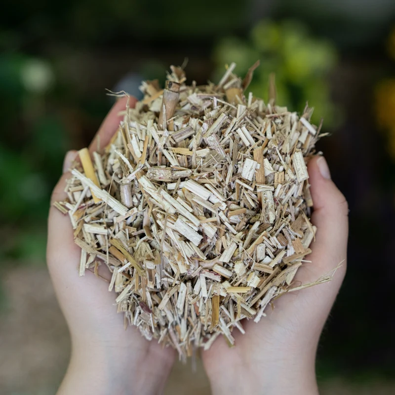 Floragard Miscanthus Mulchballen