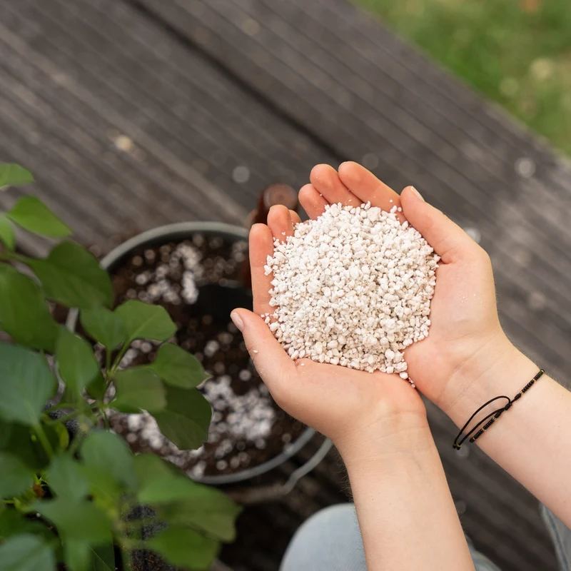 Floragard Perlite