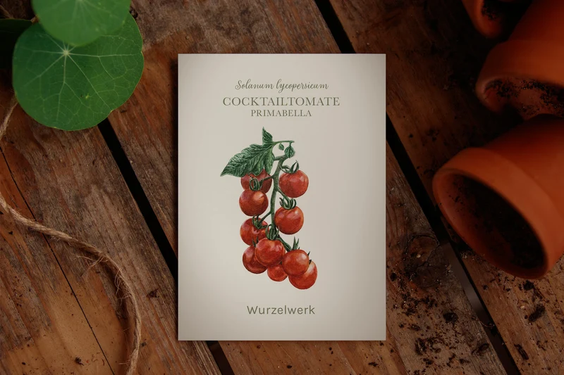 Cocktailtomate ‘Primabella’