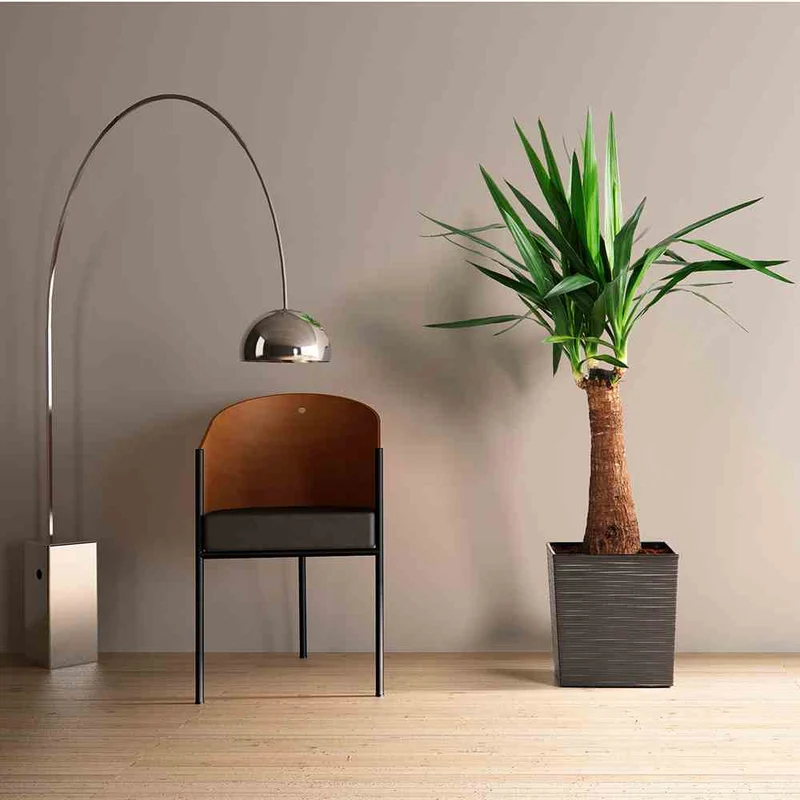 SIENA GARDEN Blumentopf 'Nizza Groove'