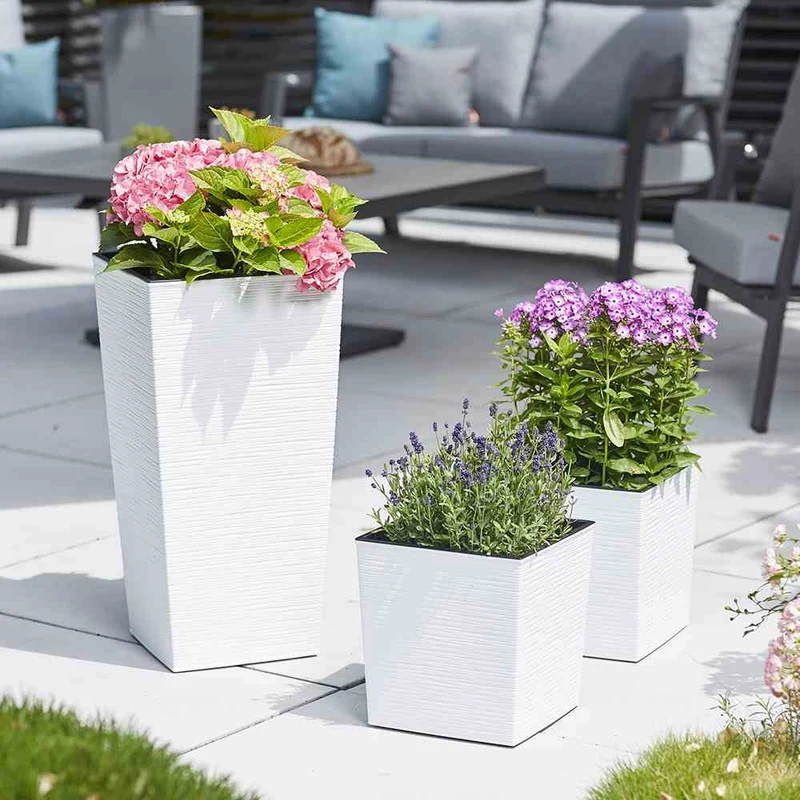 SIENA GARDEN Blumentopf 'Nizza Groove'