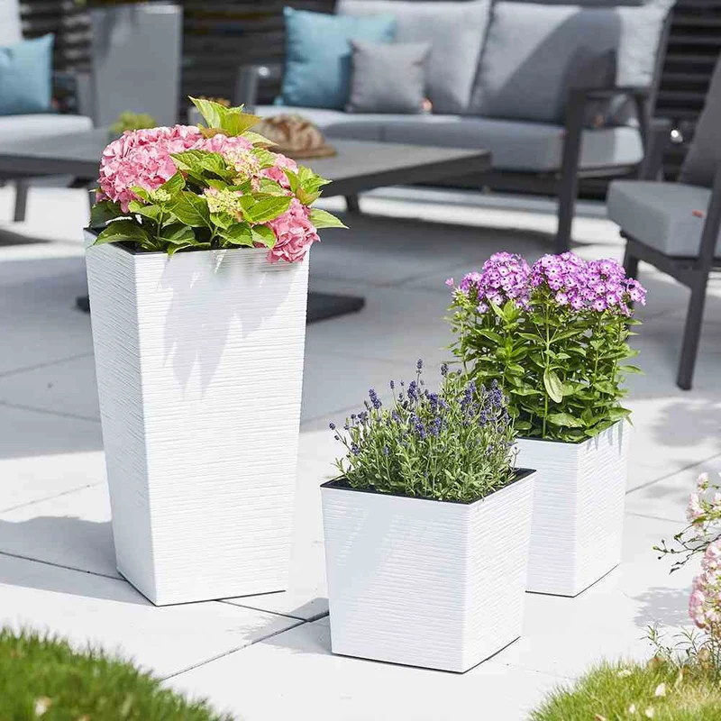 SIENA GARDEN Blumentopf 'Nizza Groove'