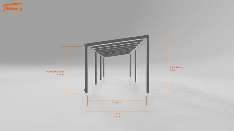 #DE Schweng Pultdachcarport S350 (ID yg7mpp) #MTG
