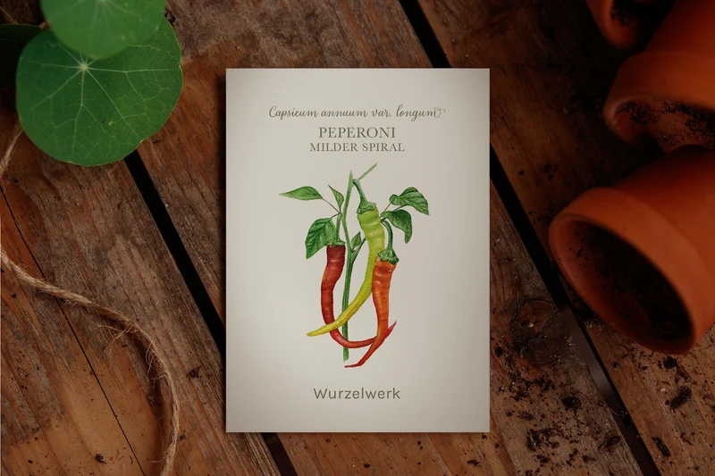 Peperoni ‘Milder Spiral’
