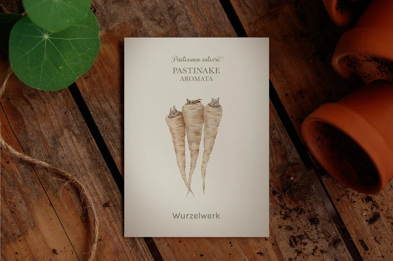 Pastinake ‘Aromata’