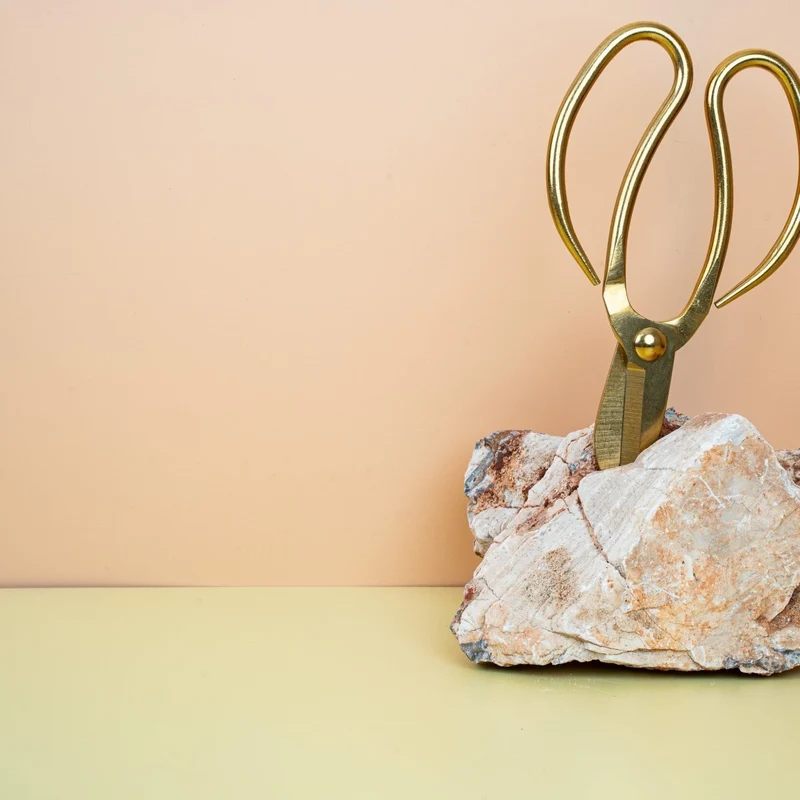 METALLSCHERE RETRO GOLD - BOTANG