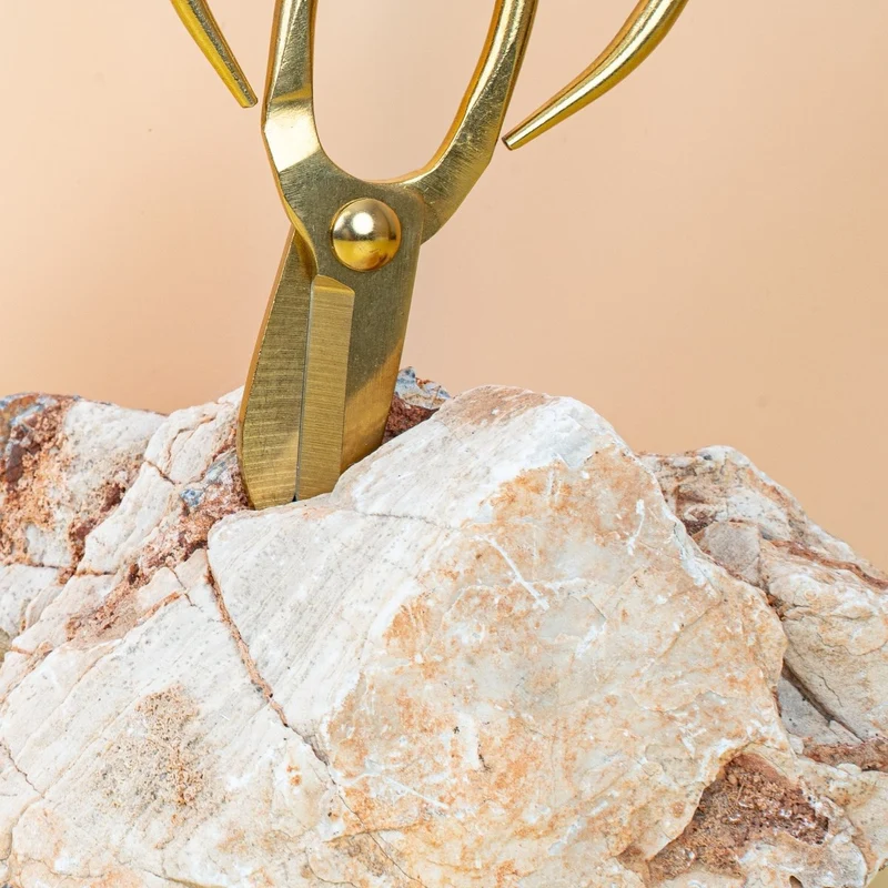 METALLSCHERE RETRO GOLD - BOTANG