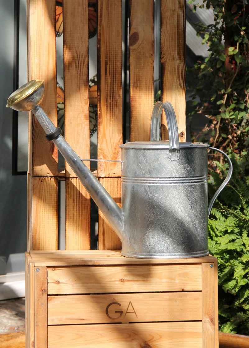 Plint | Gießkanne Medium 5 l in Zink