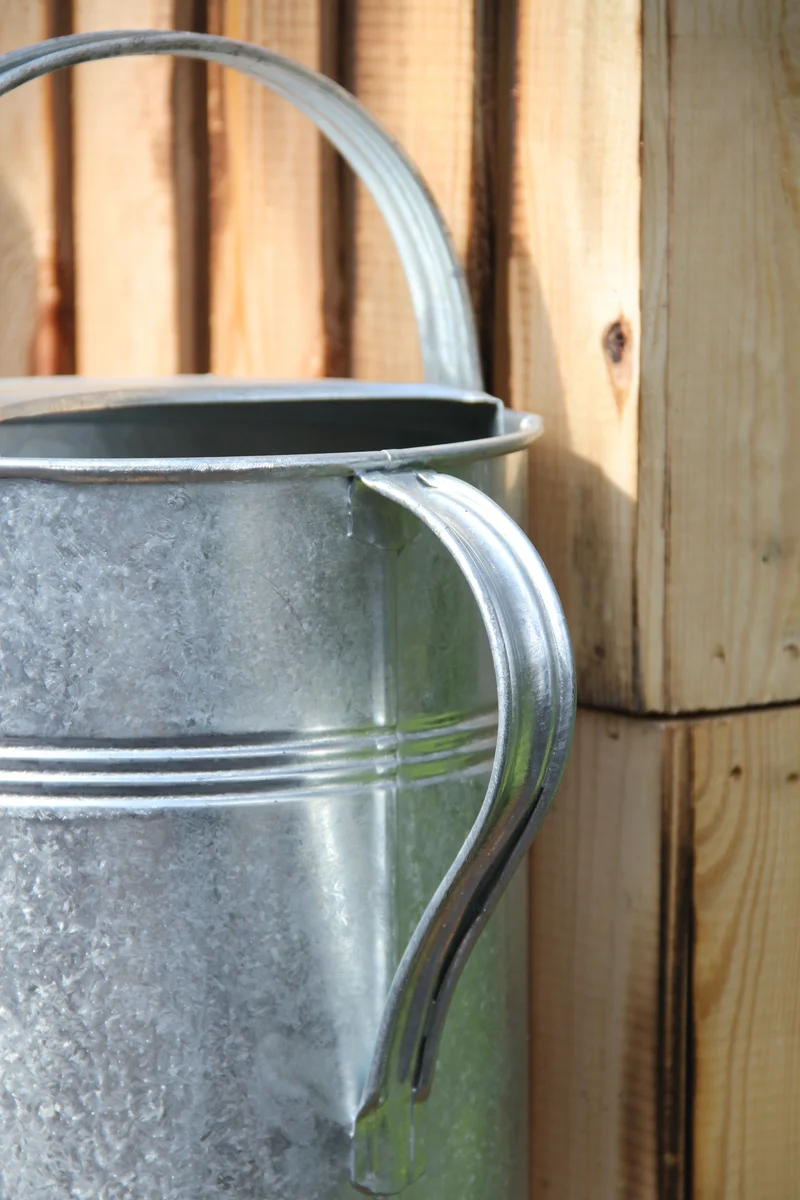 Plint | Gießkanne Medium 5 l in Zink
