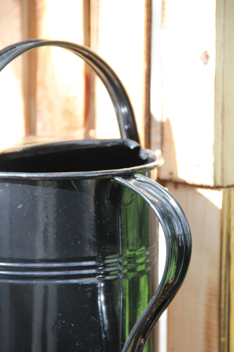 Plint | Gießkanne klein 1,5 L in schwarz