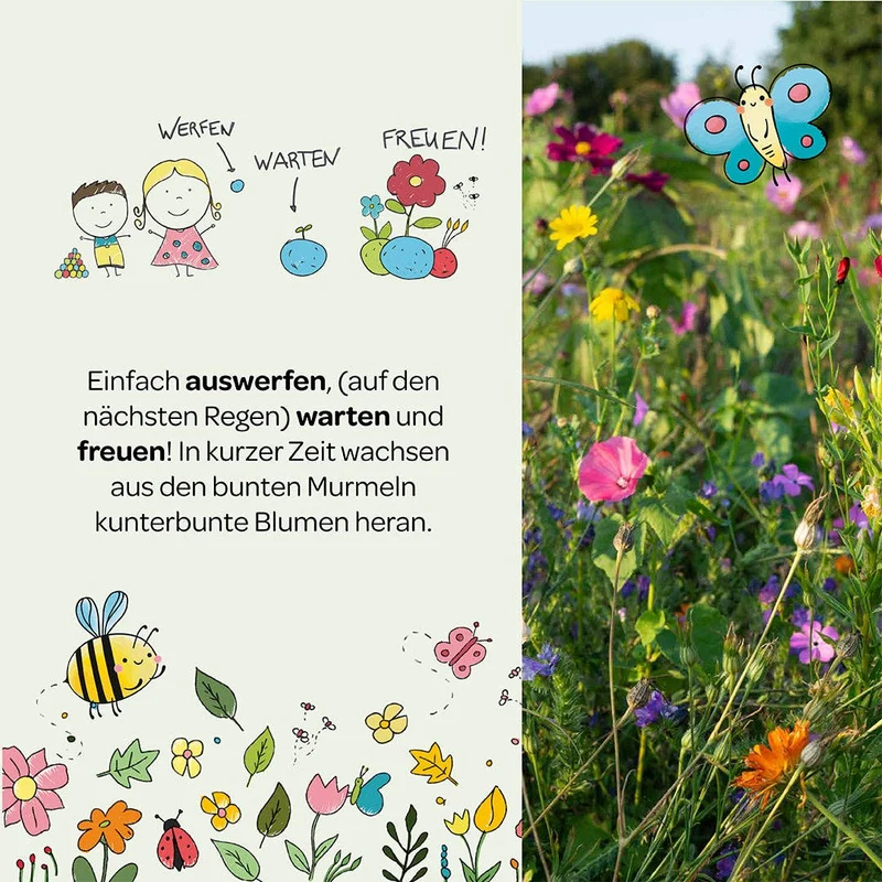 Saatgut | Blumenmurmeln 'Naturabenteuer' 100er Dose