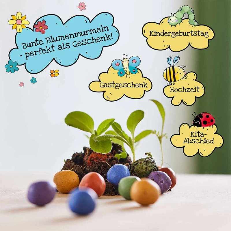 Saatgut | Blumenmurmeln 'Naturabenteuer' 100er Dose
