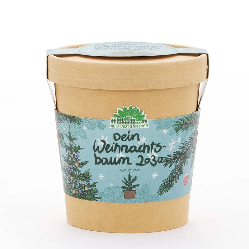 Anzuchtset | 2030 Weihnachtsbaum aus dem Becher