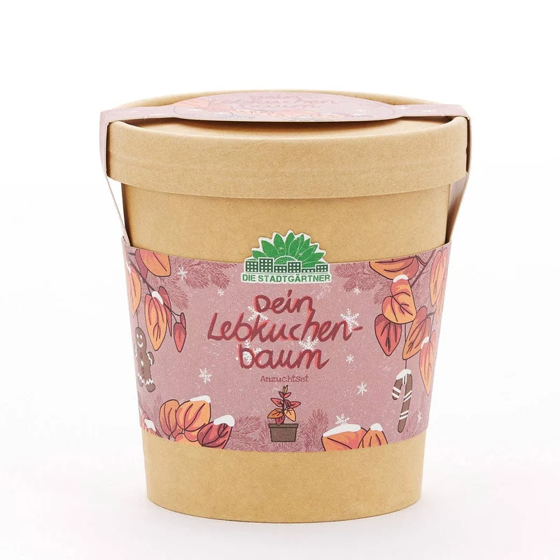 Anzuchtset | Lebkuchenbaum aus dem Becher