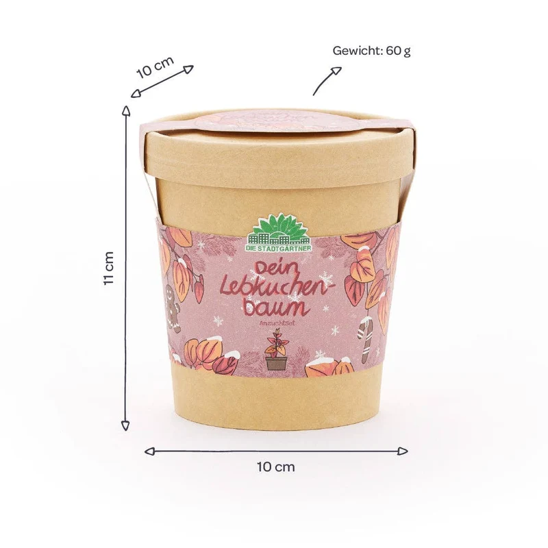 Anzuchtset | Lebkuchenbaum aus dem Becher