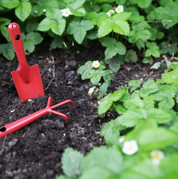 Kleine Blumenkelle aus Stahl | Rote Pflanzkelle 20,2 cm