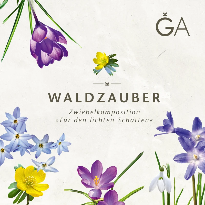 Waldzauber: Für den lichten Schatten