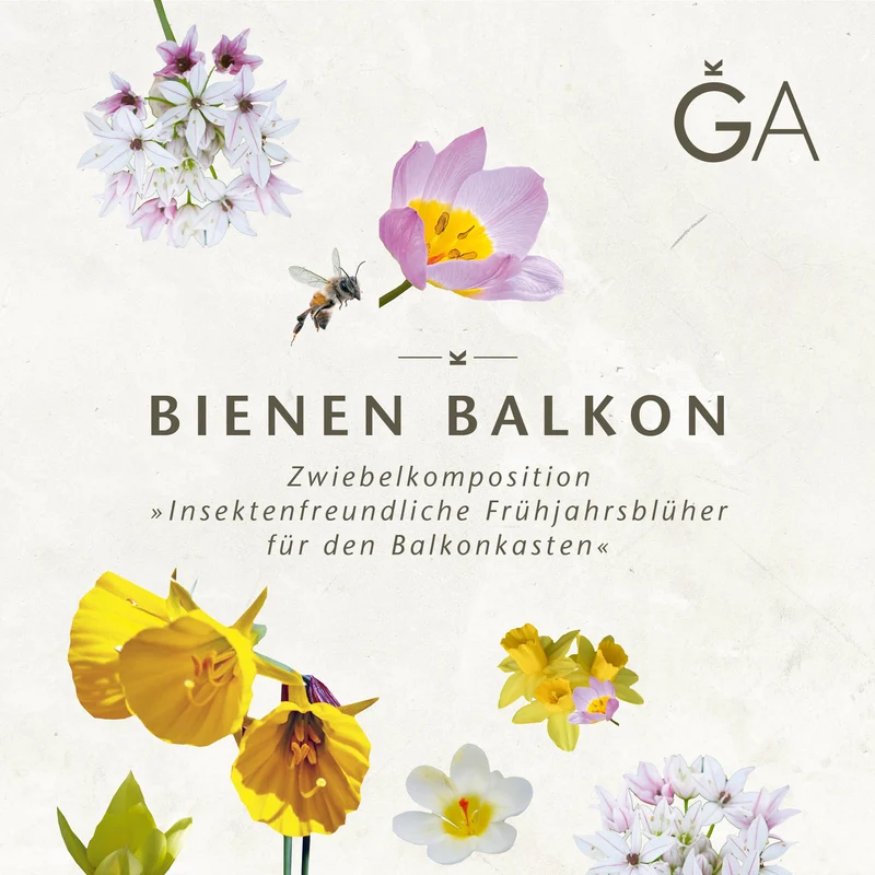 Bienen Balkon: Insektenfreundliche Frühjahrsblüher für den Balkonkasten