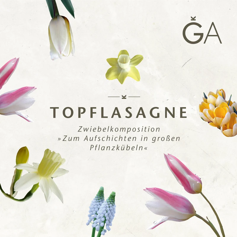 Topflasagne: Zum Aufschichten in großen Pflanzkübeln
