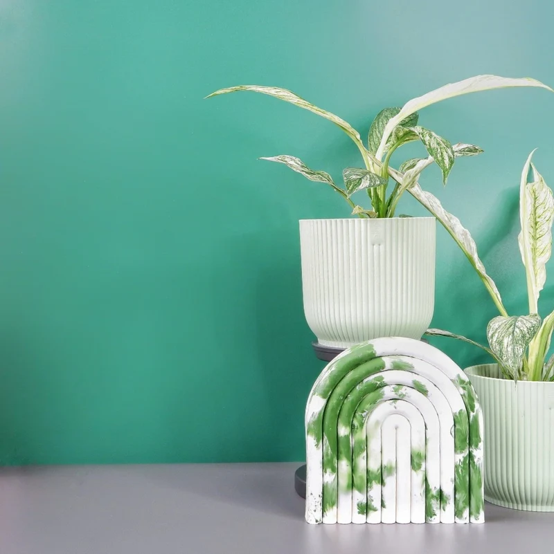 SPATHIPHYLLUM SENSATION VARIEGATA