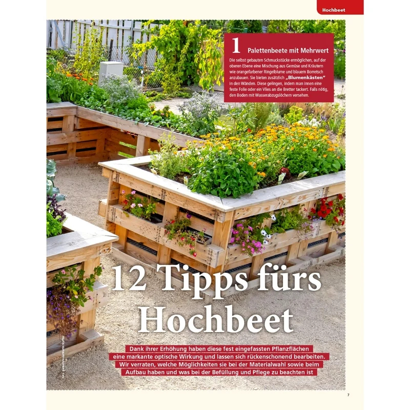 Zeitschrift Mein schöner Garten Spezial 'Küchengarten' 01/26