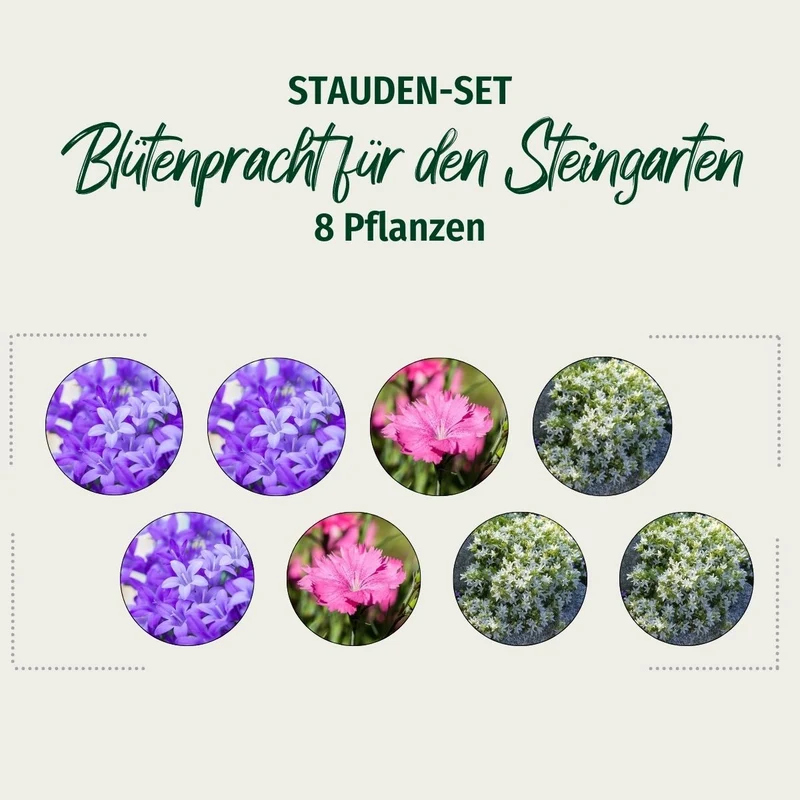 Stauden-Set "Blütenpracht für den Steingarten"